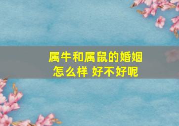 属牛和属鼠的婚姻怎么样 好不好呢